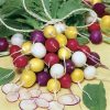 Beauty Blend Radish Seeds