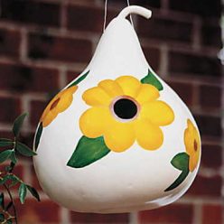 Birdhouse Gourd Seeds