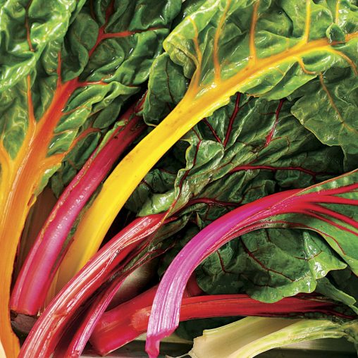 Bright Lights Swiss Chard Seeds - Image 2