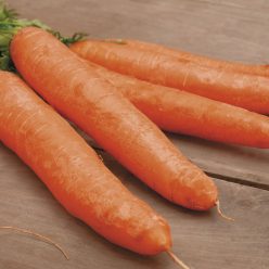 Carrot Little Finger Seeds