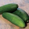 Cucumber Whopper II Hybrid