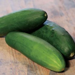 Cucumber Whopper II Hybrid