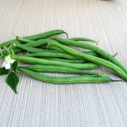 Derby Green Bean Organic Bush Seeds