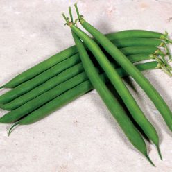 Desperado Bean Seeds
