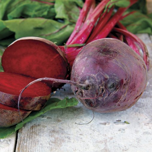 Detroit Dark Red Beet Seeds - Image 3