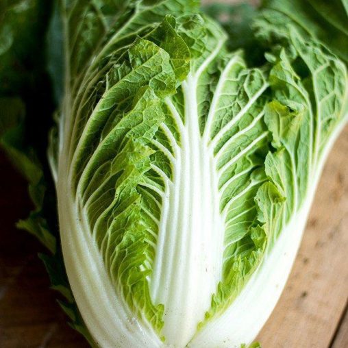 Emiko Hybrid Organic Chinese Cabbage Seeds - Image 3