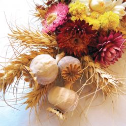 Florist's Poppy Seeds