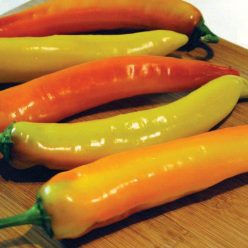 Hot Sunset Hybrid Pepper Seeds
