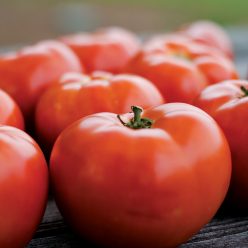 Legacy Tomato Seeds