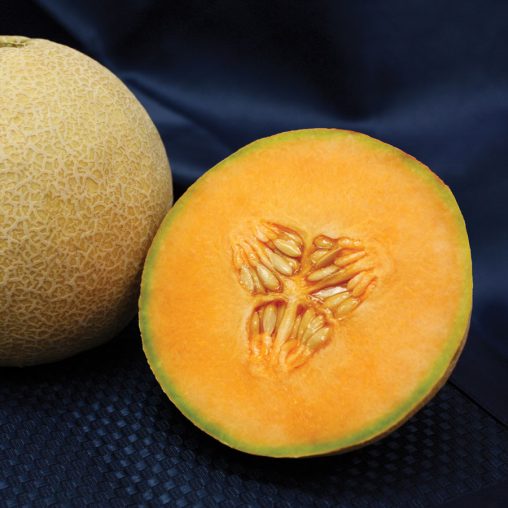 Lilliput Hybrid Cantaloupe Seeds - Image 3