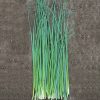 Nelly Organic Chive Seeds
