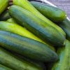 Organic Cucumber Paraiso F1