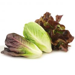 Organic Tricolor Romaine Blend