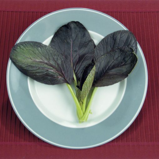 Purple Hybrid Pak Choi Seed - Image 3