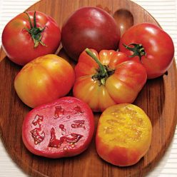 Rainbow Blend Heirloom Tomato Seeds