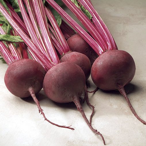 Red Ace Hybrid Beet Seeds - Image 2