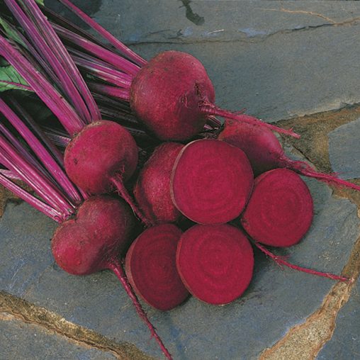 Red Ace Hybrid Beet Seeds - Image 3