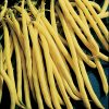 Rocdor Bean Seeds