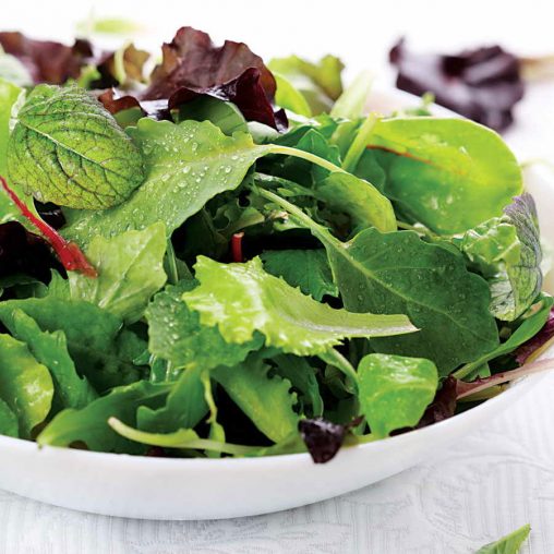 Salad Bowl Mix Organic Greens Seeds - Image 2