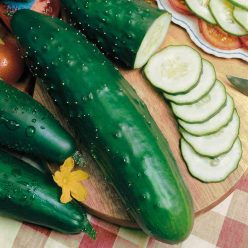 Select Slicer Hybrid Cucumber Seeds