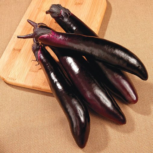 Shikou Hybrid Eggplant Seeds - Image 3