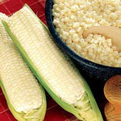Silver King Hybrid Corn Seeds