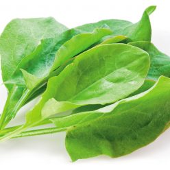 Sorrel Plant Seeds