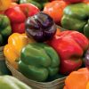 Sweet Rainbow Mix Pepper Seeds