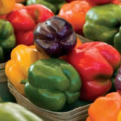 Sweet Rainbow Mix Pepper Seeds