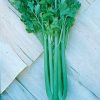 Tango Hybrid Celery Seeds