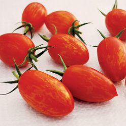 Tomato Red Torch