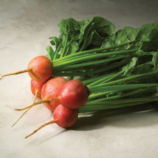 Touchstone Gold Hybrid Beet Seeds - Image 3
