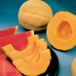 Whopper Hybrid Cantaloupe Seeds