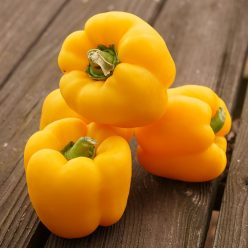 Whopper Hybrid Yellow Bell Pepper