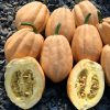 Winter Squash Baked Potatoes