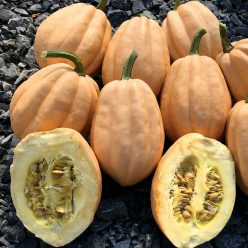 Winter Squash Baked Potatoes