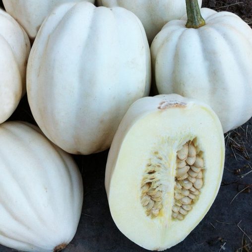 Winter Squash Mashed Potatoes - Image 3