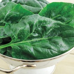 Goliath™ Spinach Seed