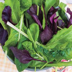 Superfood Salad Seed Blend