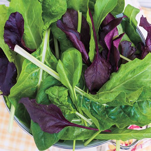 Superfood Salad Seed Blend