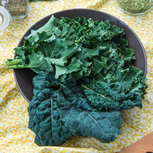 Winter Wonderland Mixed Kale Seed - Image 2