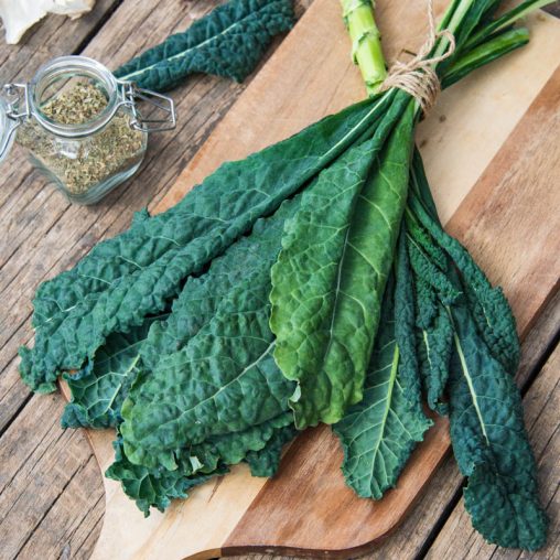 Winter Wonderland Mixed Kale Seed - Image 3