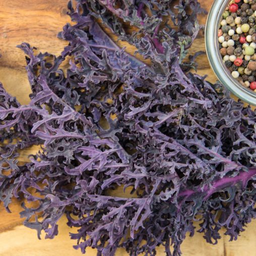 Winter Wonderland Mixed Kale Seed - Image 4