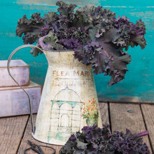 Winter Wonderland Mixed Kale Seed - Image 5