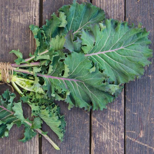 Winter Wonderland Mixed Kale Seed - Image 6