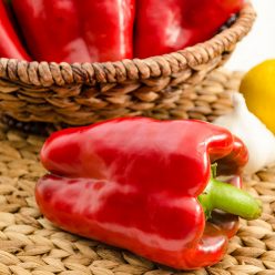 Colossal Hybrid Sweet Pepper  Seed