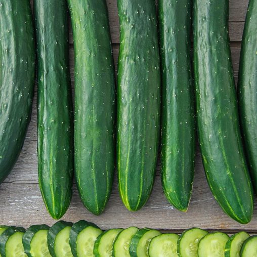 Tasty Green Hybrid Slicing Cucumber Seed - Image 3