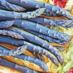 Purple Passion Asparagus Seed