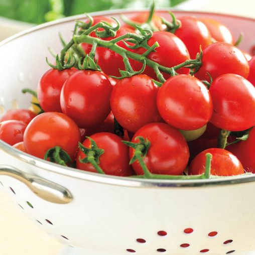 San Vicente Hybrid Tomato  Seed - Image 2