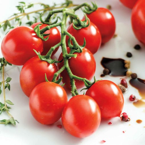 San Vicente Hybrid Tomato  Seed - Image 3